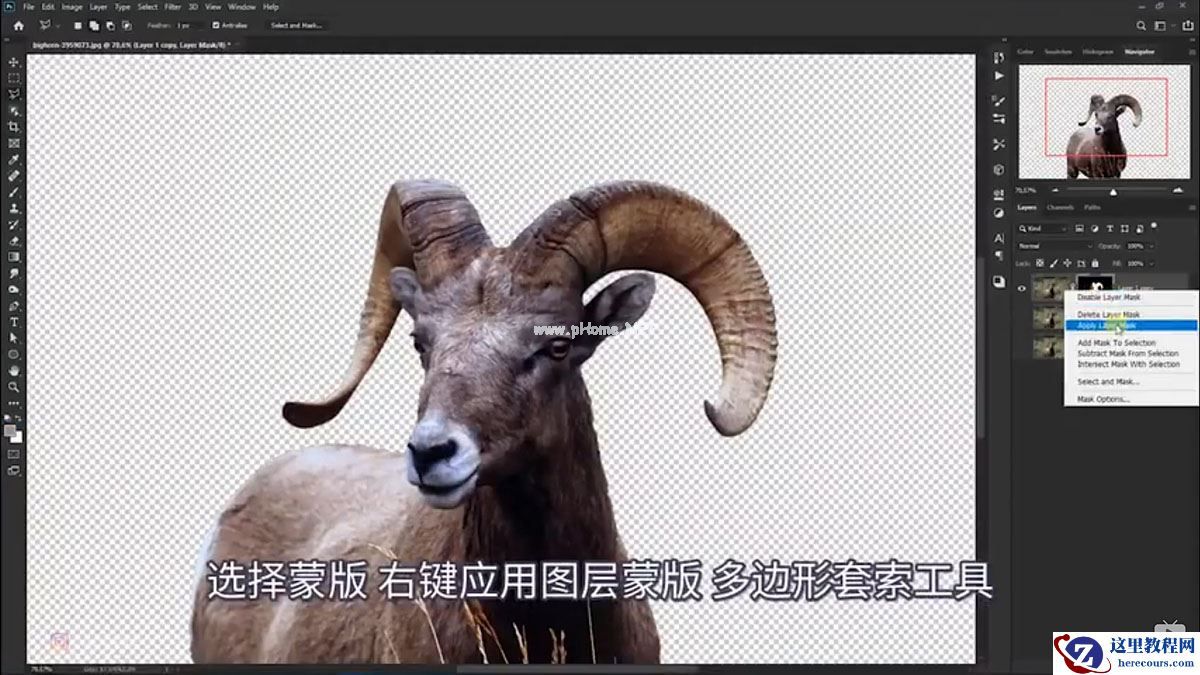 Photoshop合成魔幻主题的发光山羊