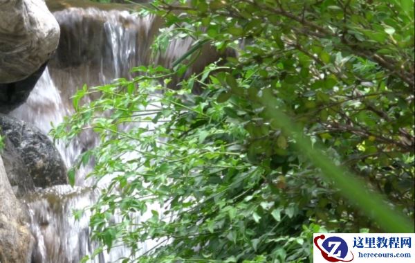 X系列十年之“利剑”，富士X-T4无反相机评测