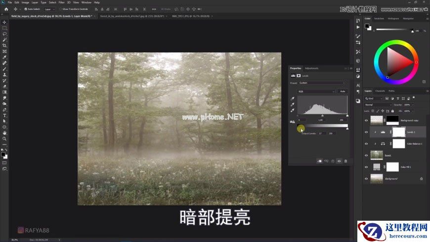 Photoshop创意合成森林中的新娘和鸟笼