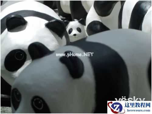 社交网络时代的摄影之道