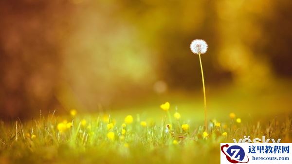 初学者必看! 如何在短时间内成为摄影达人