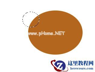 ps怎么手绘一只可爱的棕色小熊?