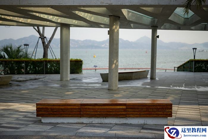 我为什么要换一支“超重”的大炮？摄影萌新编辑如何入坑副厂镜头