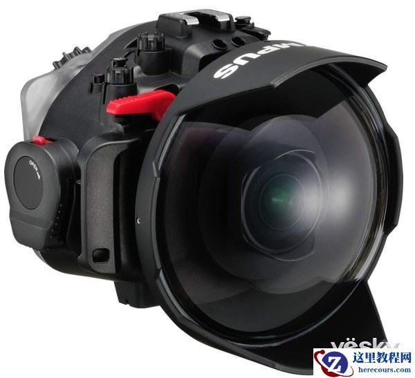 别样生命视角 奥林巴斯8mmF1.8鱼眼镜头