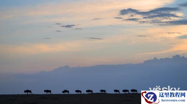 索尼全画幅微单™旗舰A9邂逅狂野非洲
