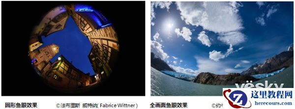 尼康百周年新品不停 尼克尔再添三枚新镜