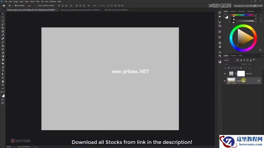 Photoshop创意合成森林中的新娘和鸟笼