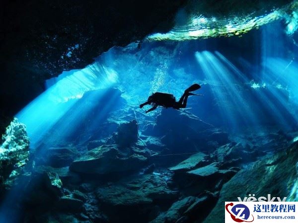 别样生命视角 奥林巴斯8mmF1.8鱼眼镜头