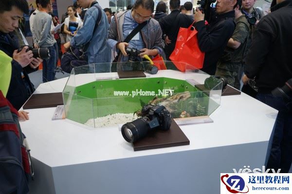 P&E2015:极致之微 腾龙微距展台成热门