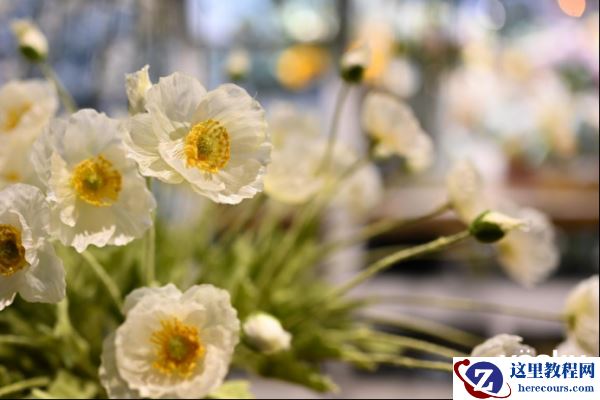 全面再进化，富士X100V复古旁轴无反相机评测