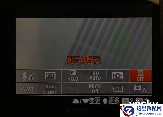 全面支持专业工作流 索尼Alpha 9 II评测