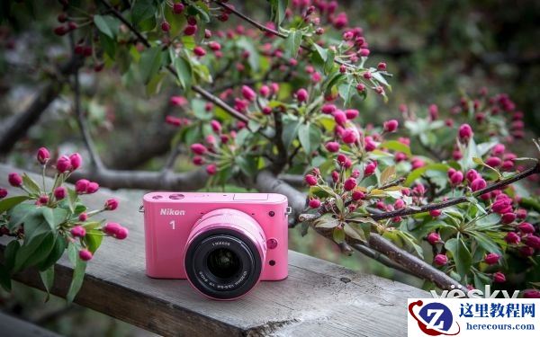 五花八门 相机家族的编年史你知道多少?