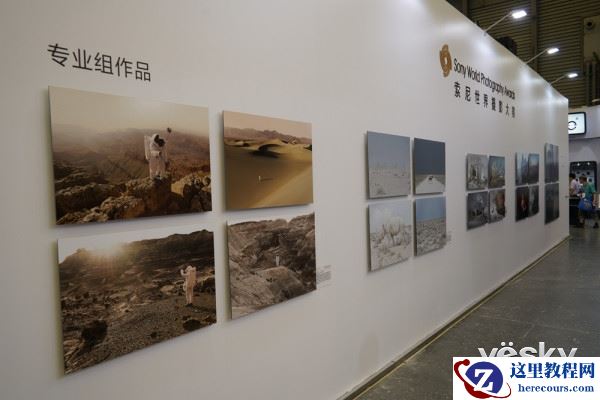 P&I2016:探访索尼展台 现场体验&讲座