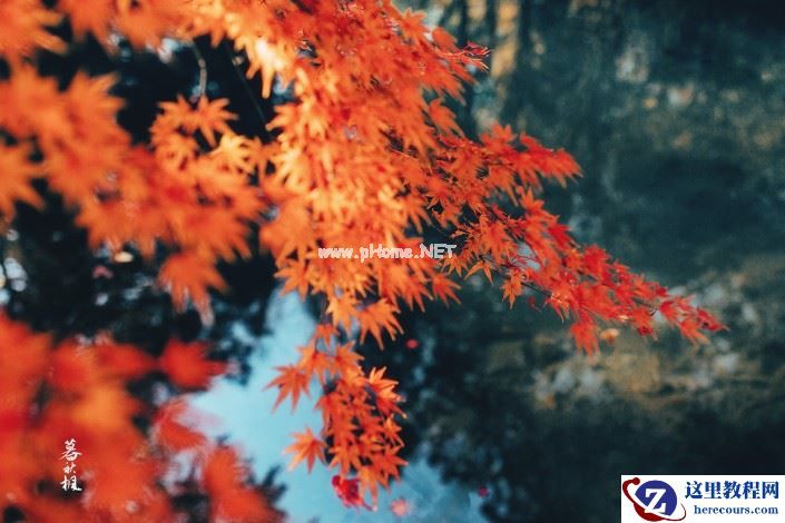 LR调出秋季人像照片古典艺术效果