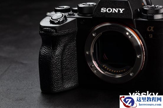 全面支持专业工作流 索尼Alpha 9 II评测