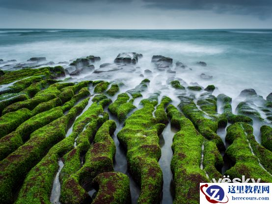 哈苏影像体验会落幕羊城 匠心耕耘华南市场