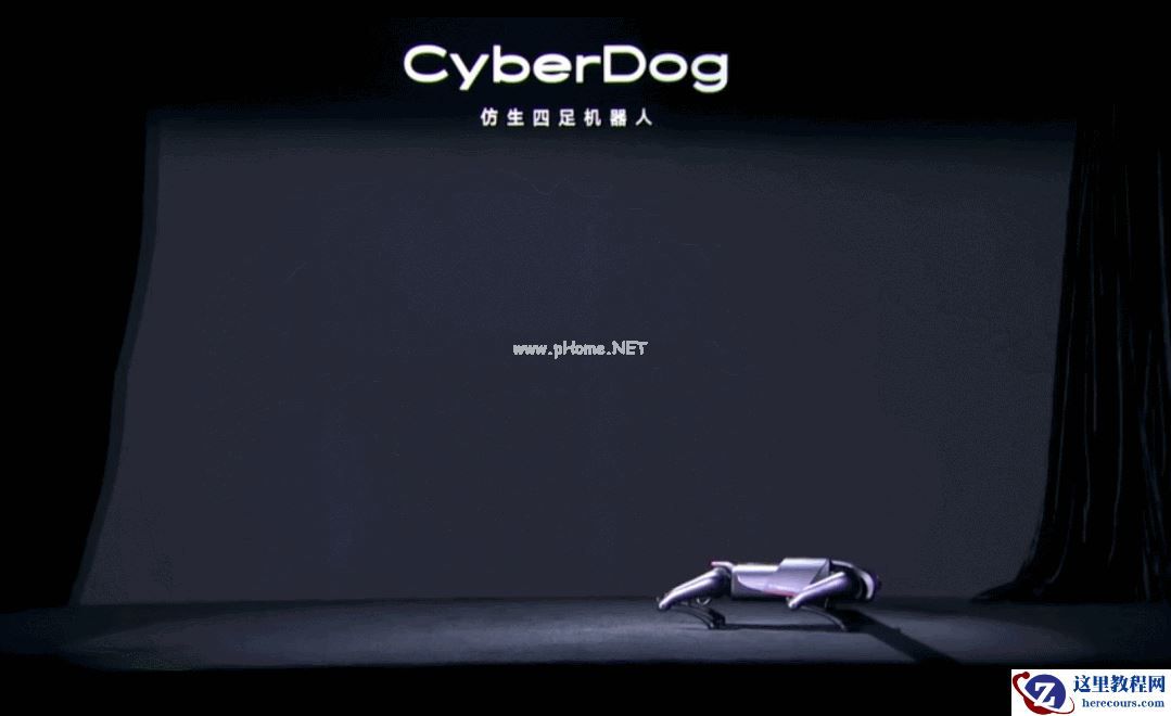 特斯拉造人、小鹏骑马、小米遛狗，准车企们为何集体盯上了机器人生意？