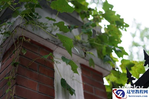 大光圈的魅力 索尼FE 50mm F1.8镜头评测