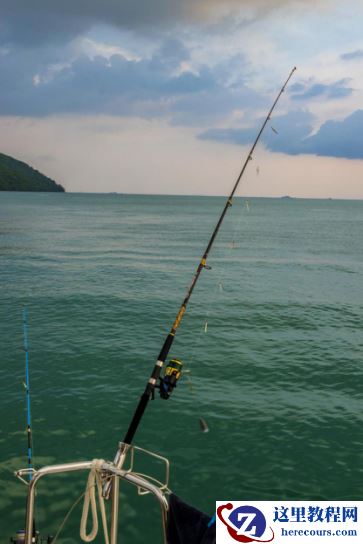 一镜的魅力 索尼黑卡RX10M4自然之旅(上)