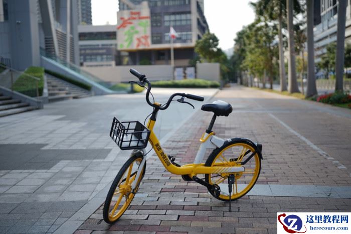 我为什么要换一支“超重”的大炮？摄影萌新编辑如何入坑副厂镜头