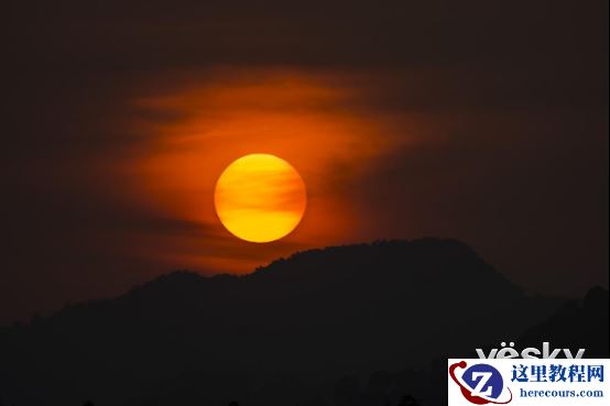 全能打鸟神器 索尼黑卡RX10M4泰国之旅(下)