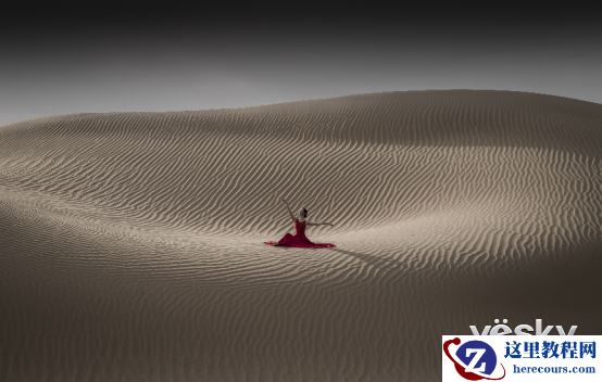 哈苏影像体验会落幕羊城 匠心耕耘华南市场