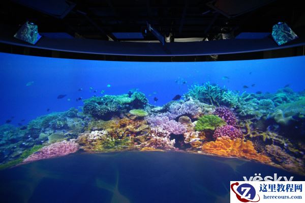 索尼中国专业系统集团娱乐解决方案业务启动