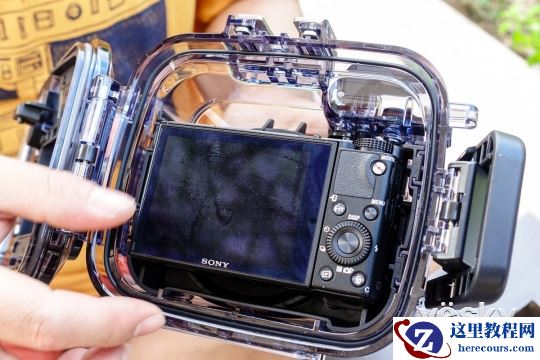 索尼黑卡™RX100V 体验水下摄影的魅力(下)