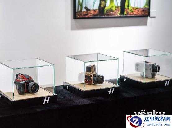 哈苏影像体验会落幕羊城 匠心耕耘华南市场