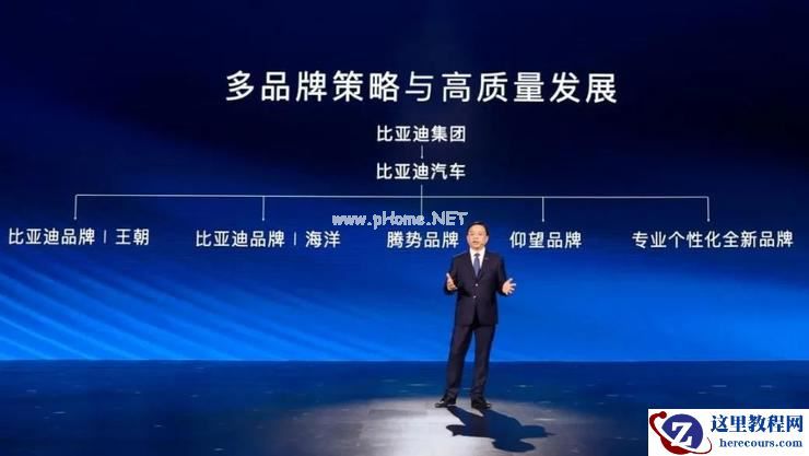 一个比亚迪，十个「蔚小理」