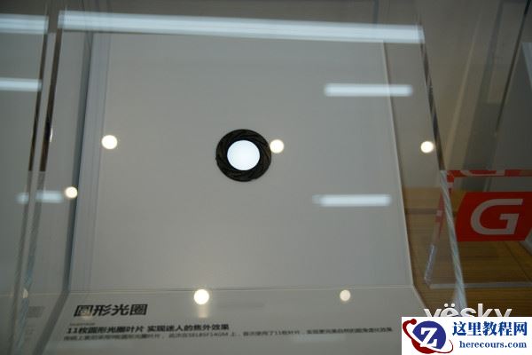 高性能人像表现 索尼FE 85mm F1.4 GM体验