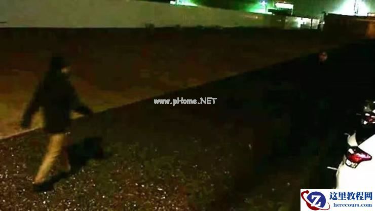 自动驾驶「感知」的革新？从人脑和蛙眼得到的启示