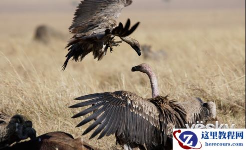 五一出游新宠 索尼微单™A6500/A6300M带你游世界