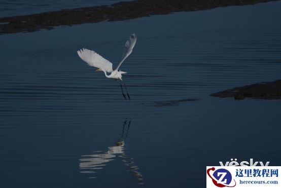 索尼A9大师说:开启专业摄影微单时代（下）