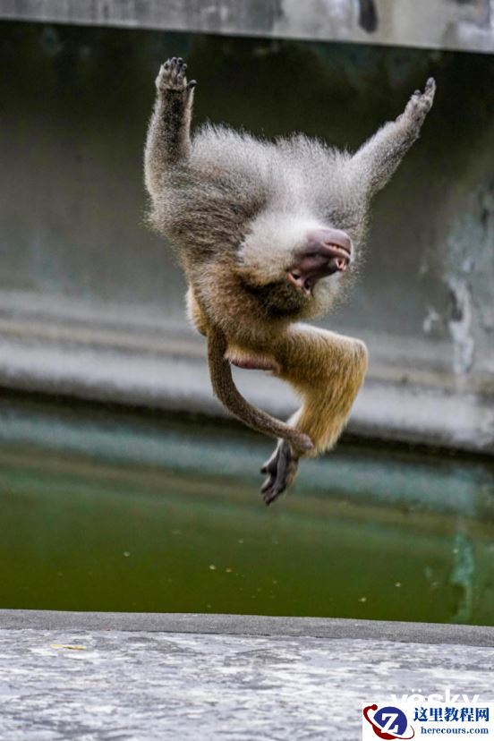 全面支持专业工作流 索尼Alpha 9 II评测