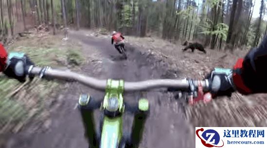 山地车遭棕熊狂追 运动相机拍下惊险全过程