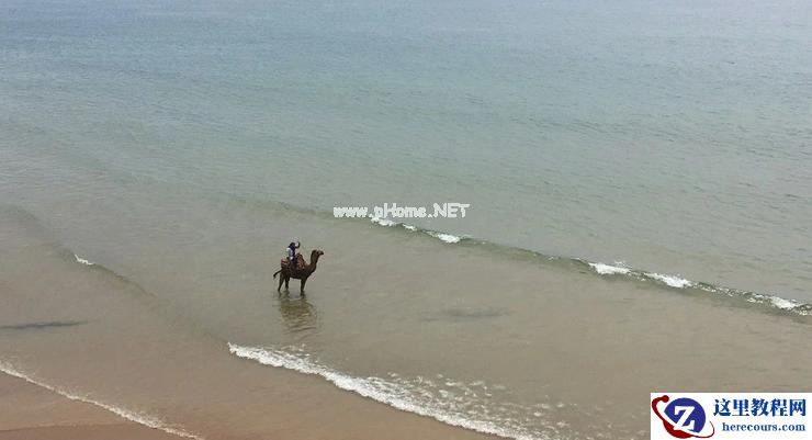 造车新势力尴尬的「出海成绩单」：小鹏月销1辆，蔚来两个月57辆