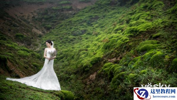 与欧阳智斌一起见证婚礼的幸福时刻