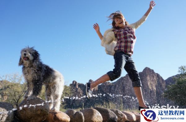 京东全球好物节 索尼微单™优惠购不停