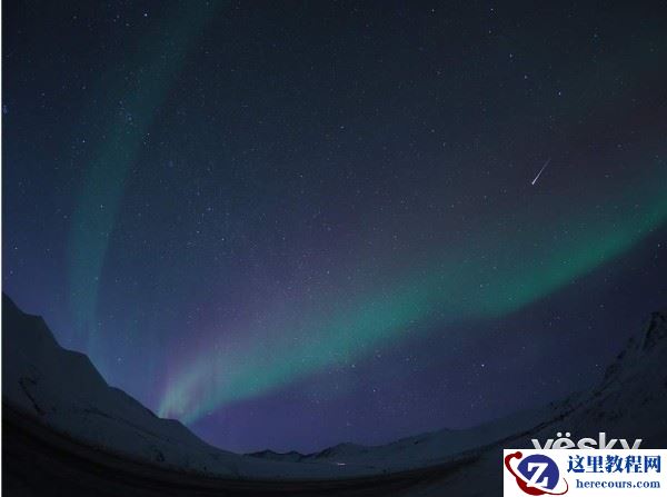 别样生命视角 奥林巴斯8mmF1.8鱼眼镜头