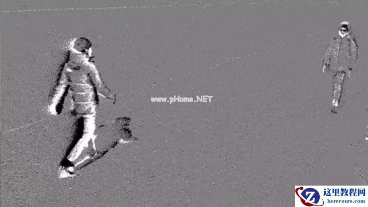 自动驾驶「感知」的革新？从人脑和蛙眼得到的启示