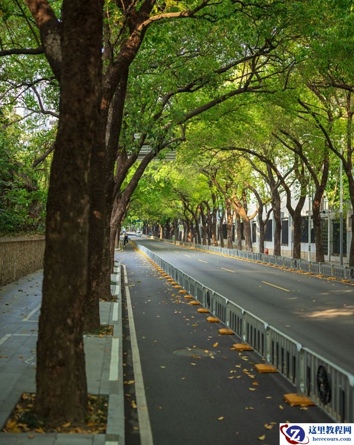 我为什么要换一支“超重”的大炮？摄影萌新编辑如何入坑副厂镜头