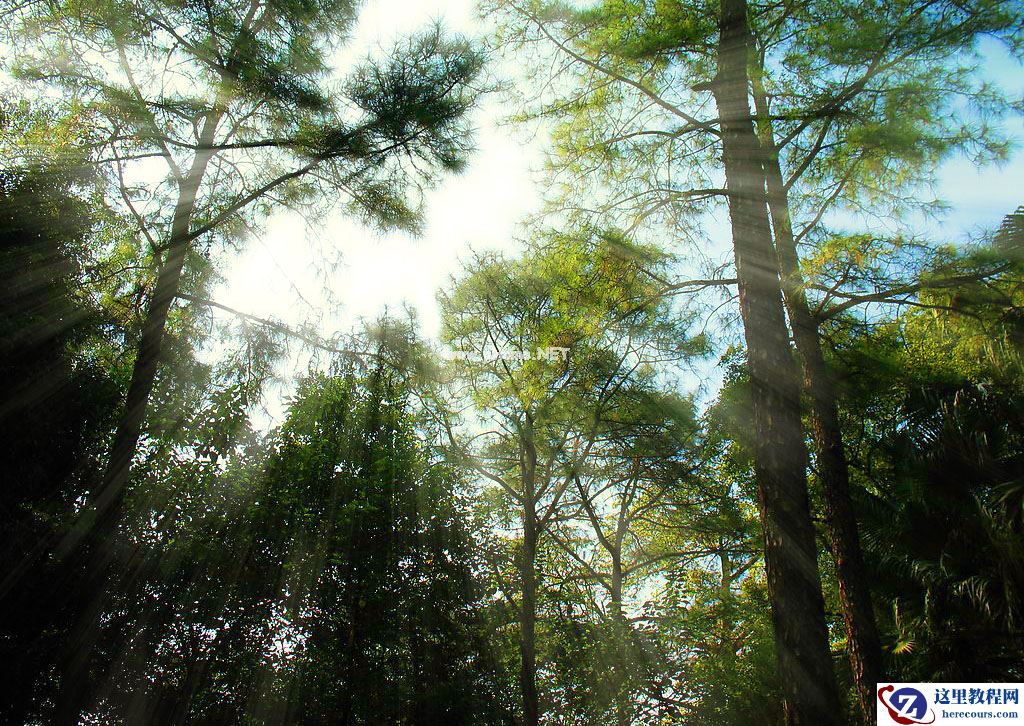 使用PS的径向模糊滤镜是要做出阳光照射林间的漂亮效果