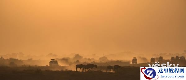 索尼全画幅微单™旗舰A9邂逅狂野非洲