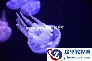 极致画质体验 腾龙A007镜头垦丁&花莲游记