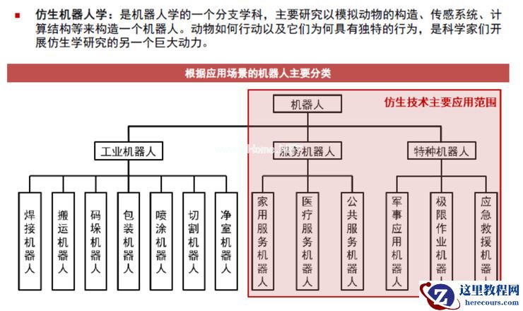 特斯拉造人、小鹏骑马、小米遛狗，准车企们为何集体盯上了机器人生意？