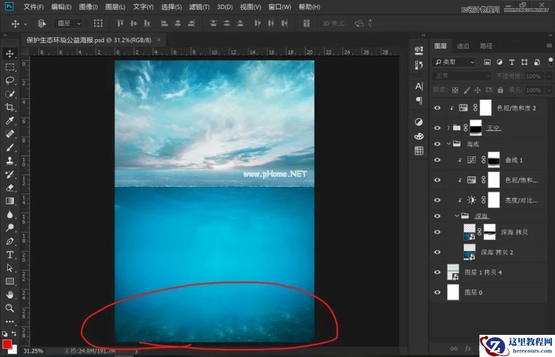Photoshop设计保护动物公益海报教程