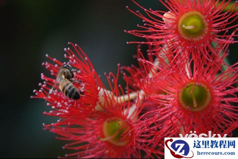 高速新赋能 索尼发布超长焦黑卡™RX10 IV