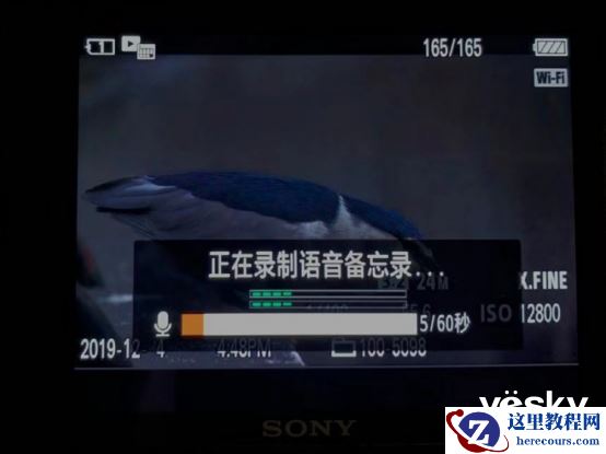 全面支持专业工作流 索尼Alpha 9 II评测