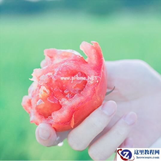 LR调出小清新风格的西红柿照片